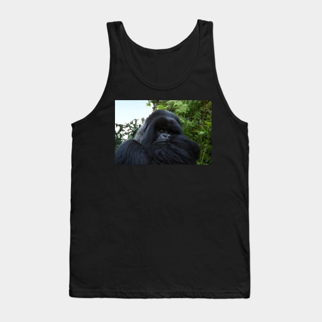 Silverback Gorilla, Hirwa Group, Rwanda, East Africa Tank Top by Carole-Anne